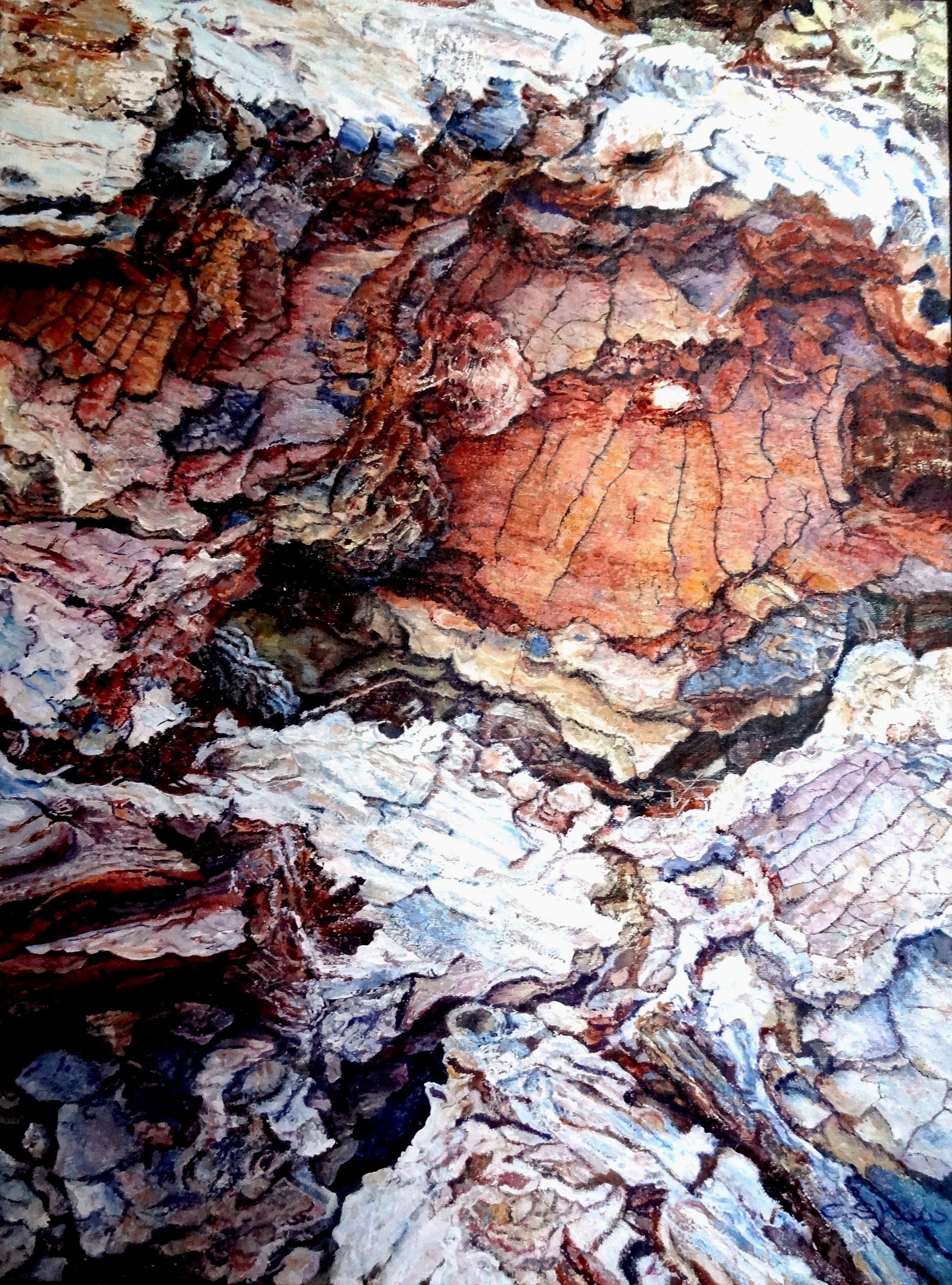 Acrylic Bark Study on Canvas Christine Shaw