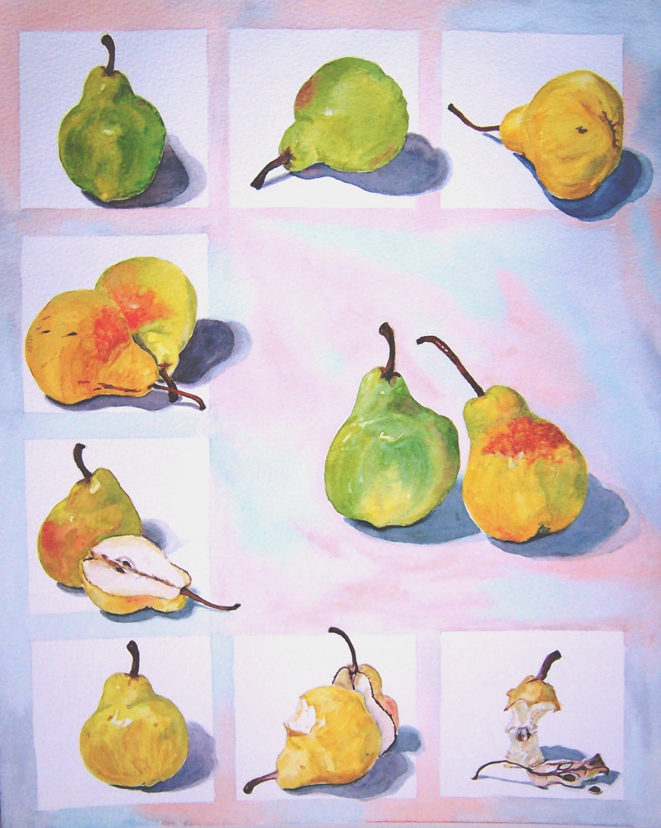 Pear Narrative Christine Shaw