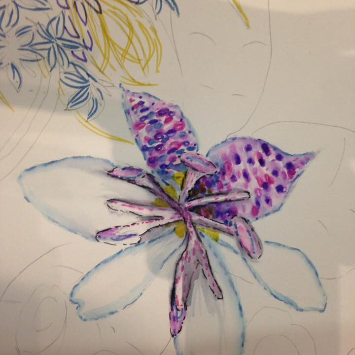 Watercolour Workshop - August 2016