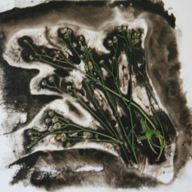 Creative Art Walks - July 2016